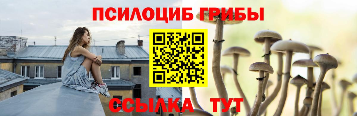 Выборг  Псилоцибиновые грибы Magic Shrooms  Псилоцибиновые грибы Psilocybe  Вход с VPN 